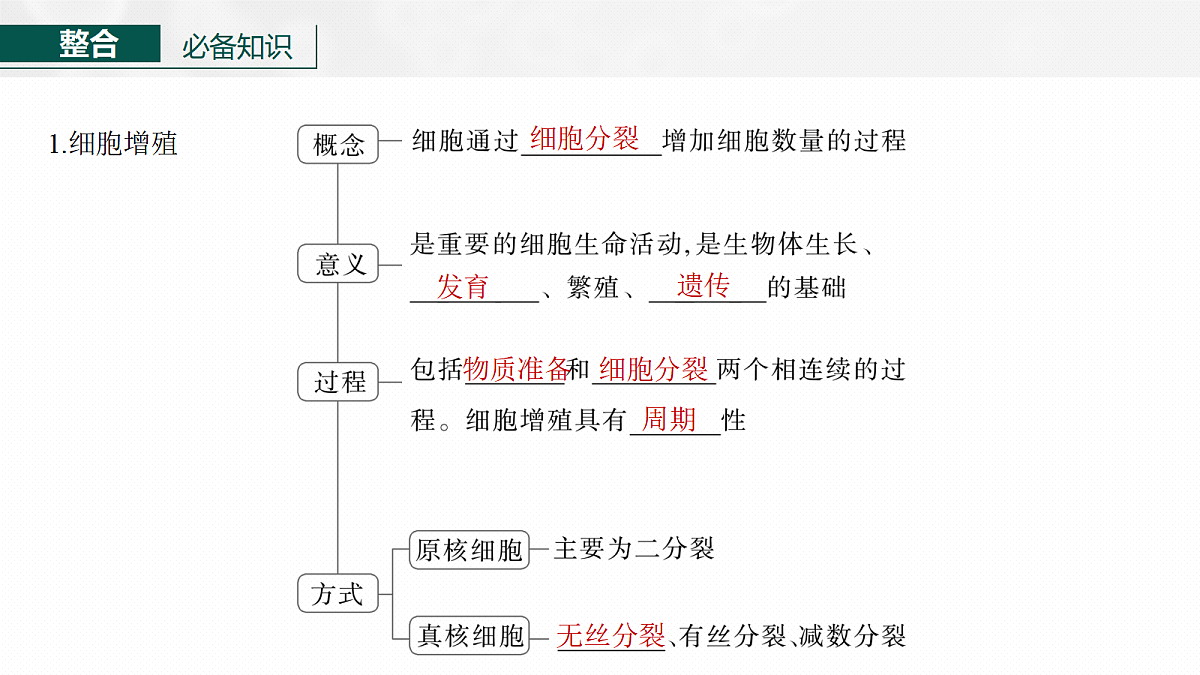 17268692第6页
