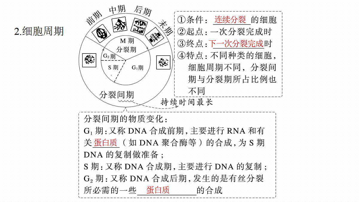 17268692第7页
