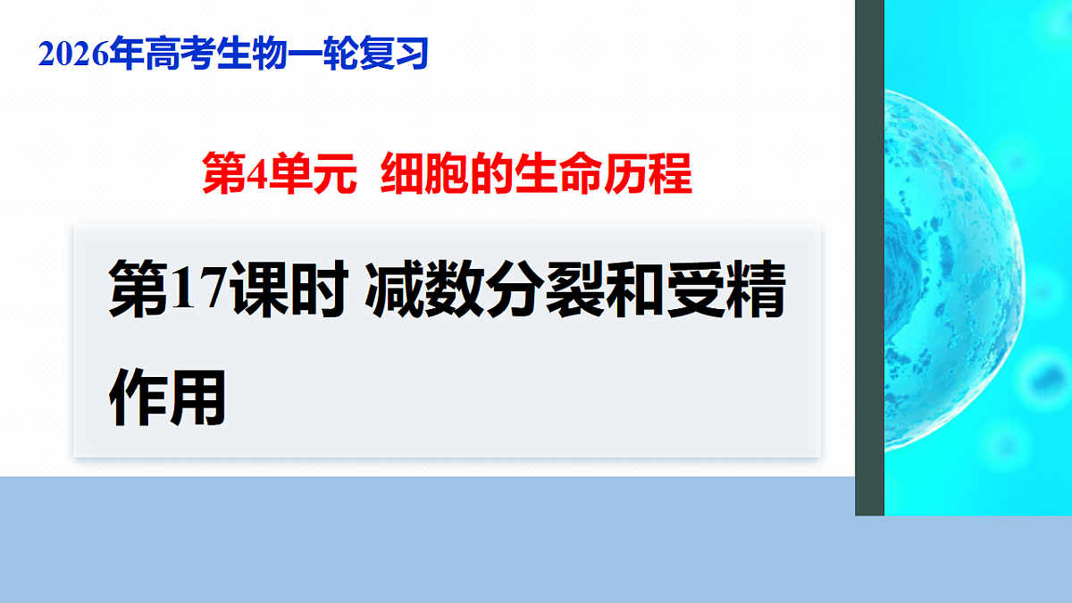 17268694第1页