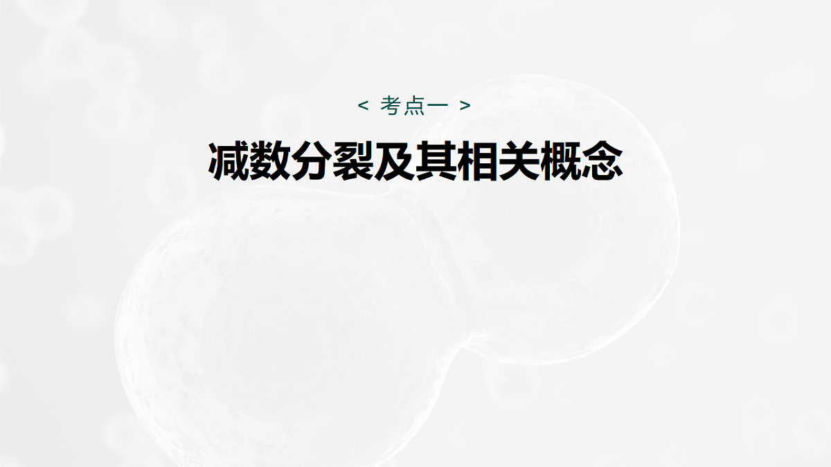 17268694第5页