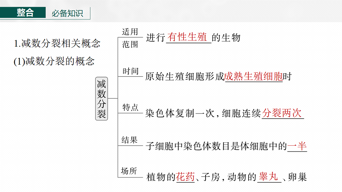 17268694第6页