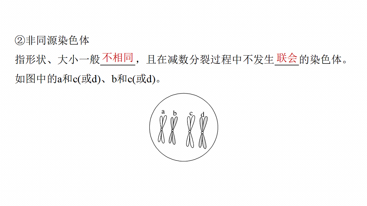 17268694第8页