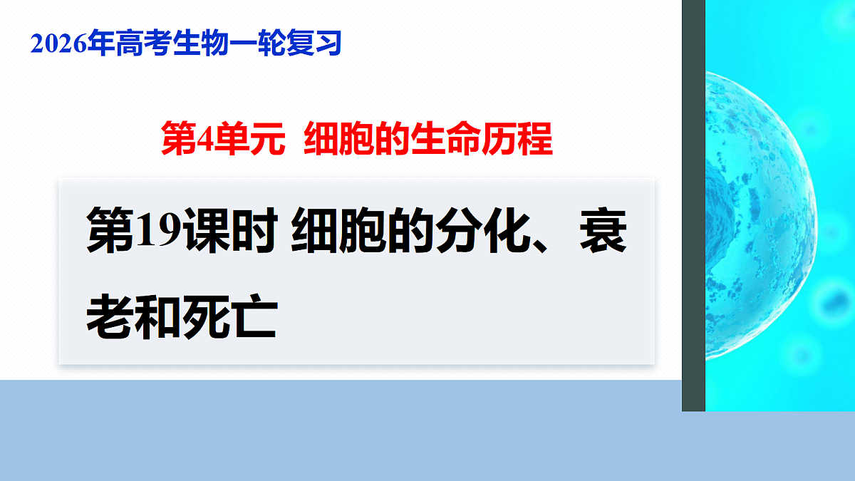 17268698第1页