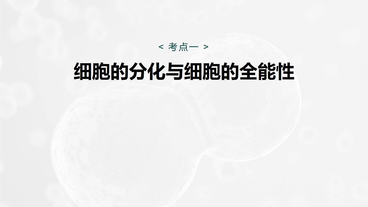 17268698第5页