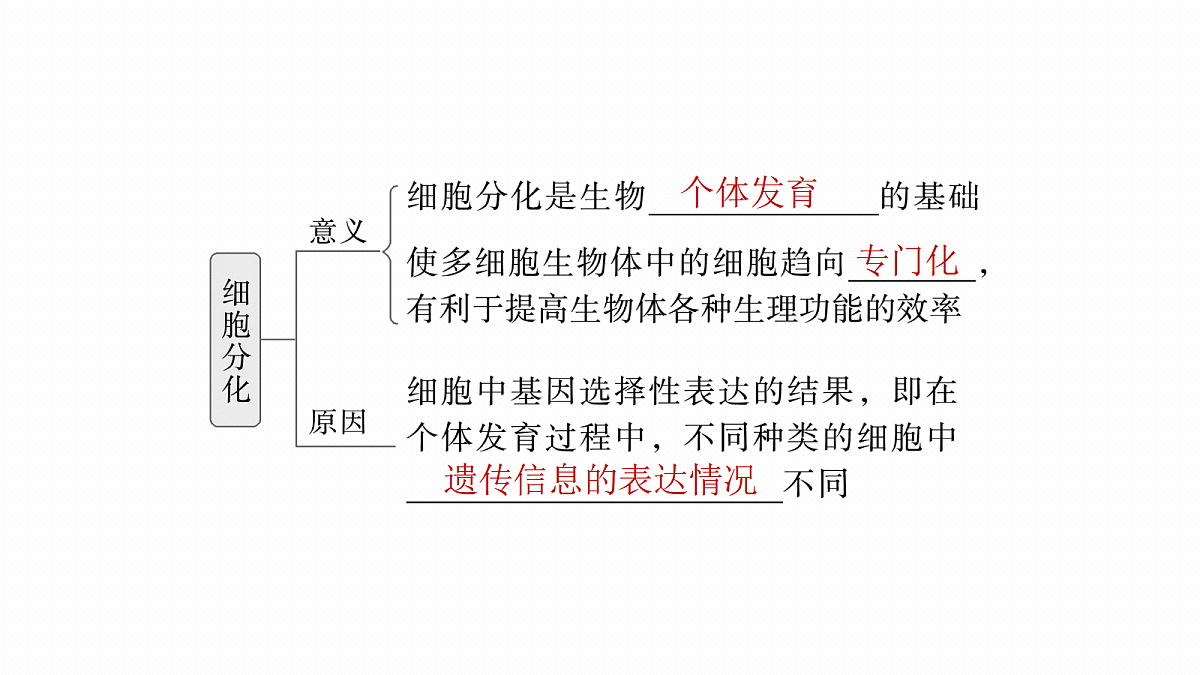 17268698第7页