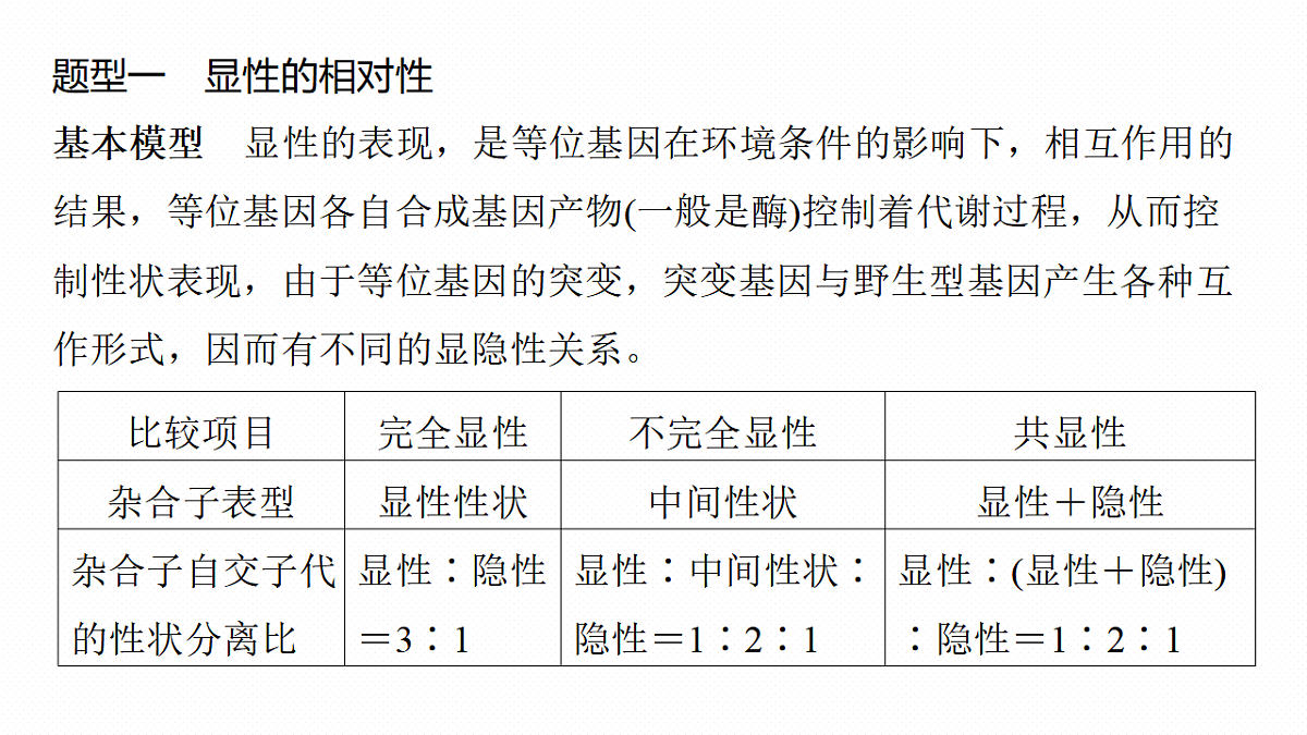 17268700第4页