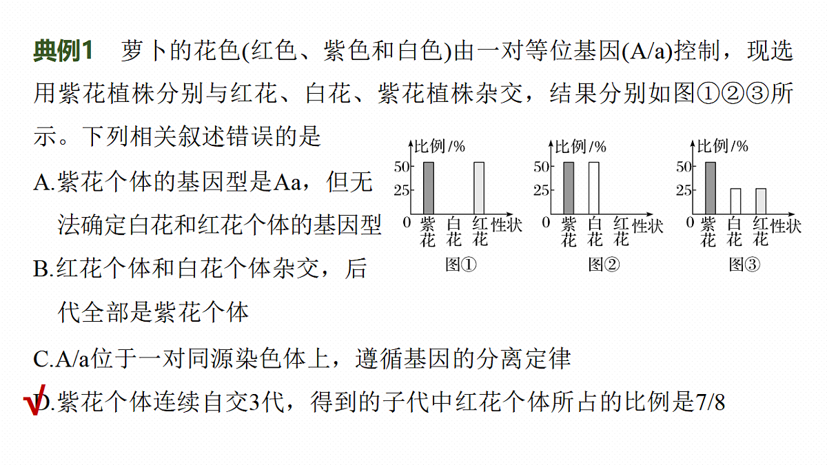 17268700第5页