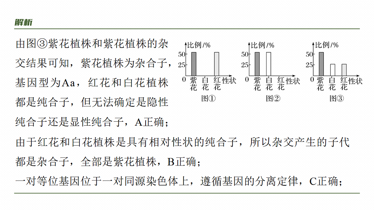 17268700第6页