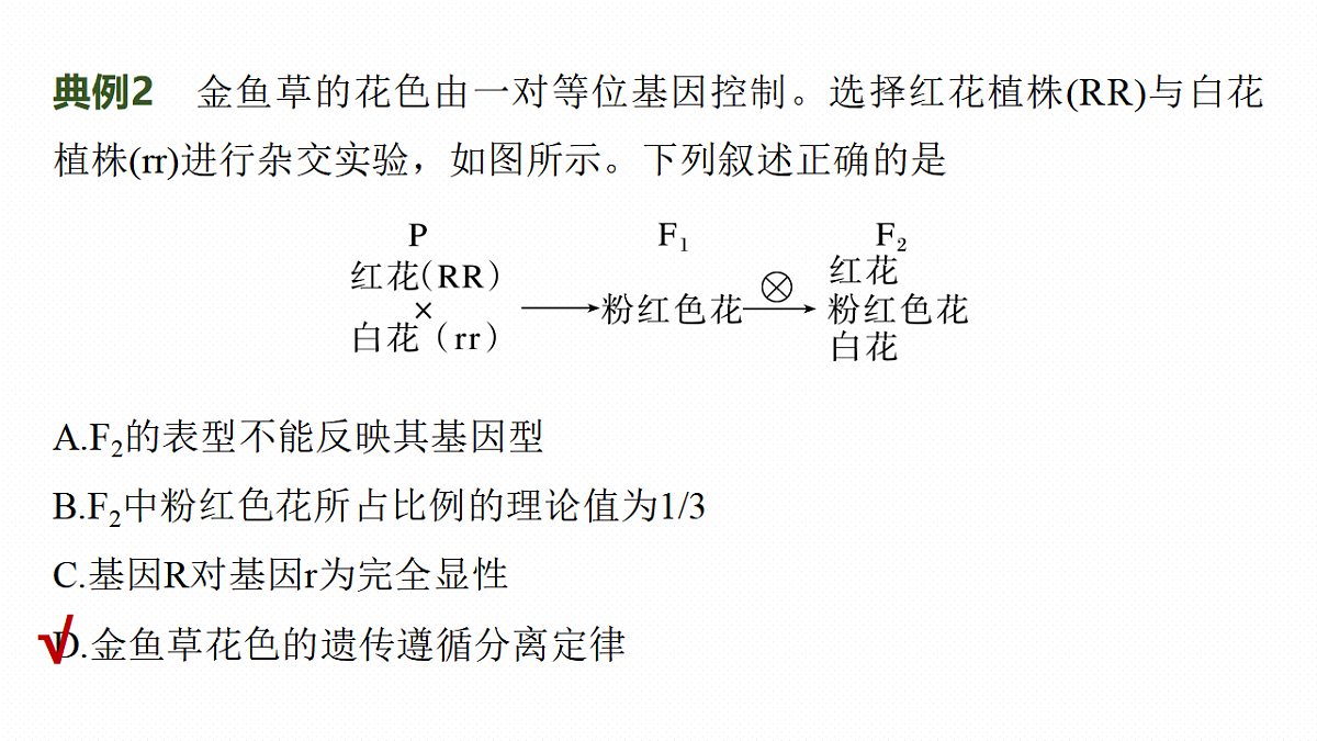 17268700第8页