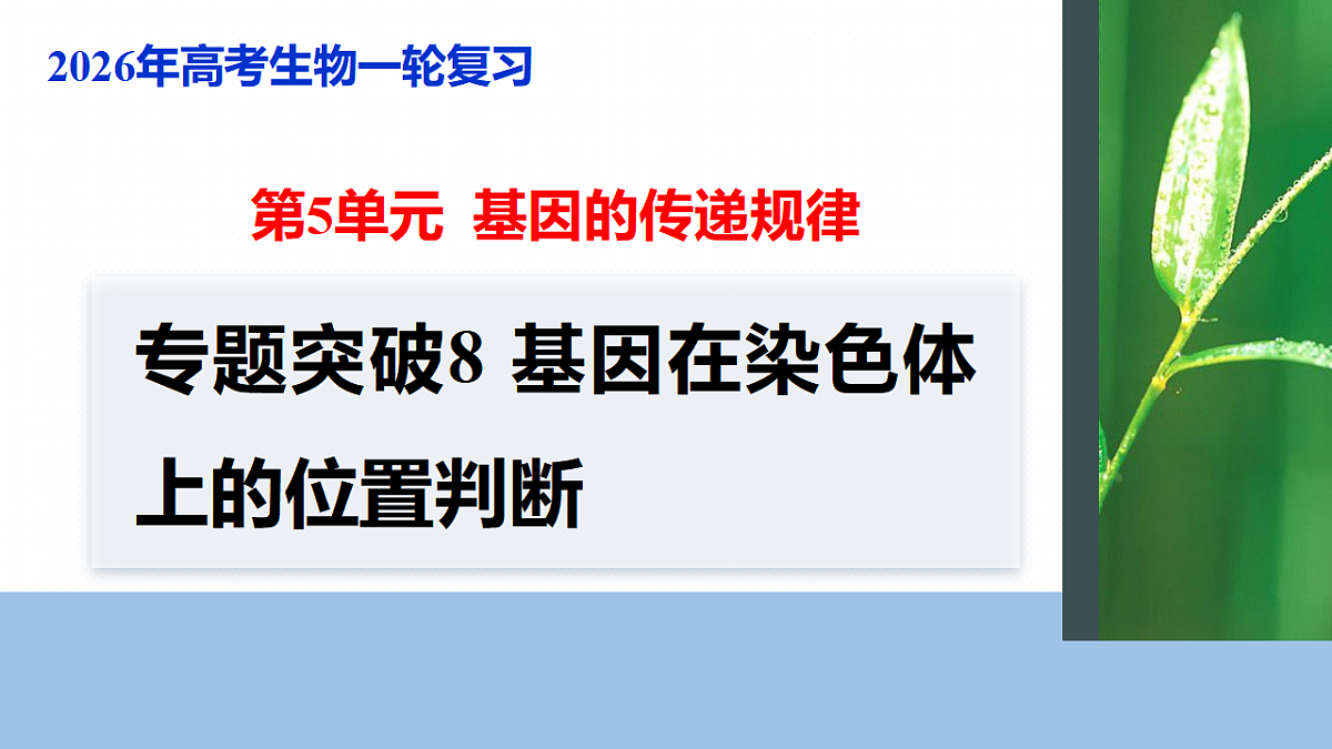 17268703第1页