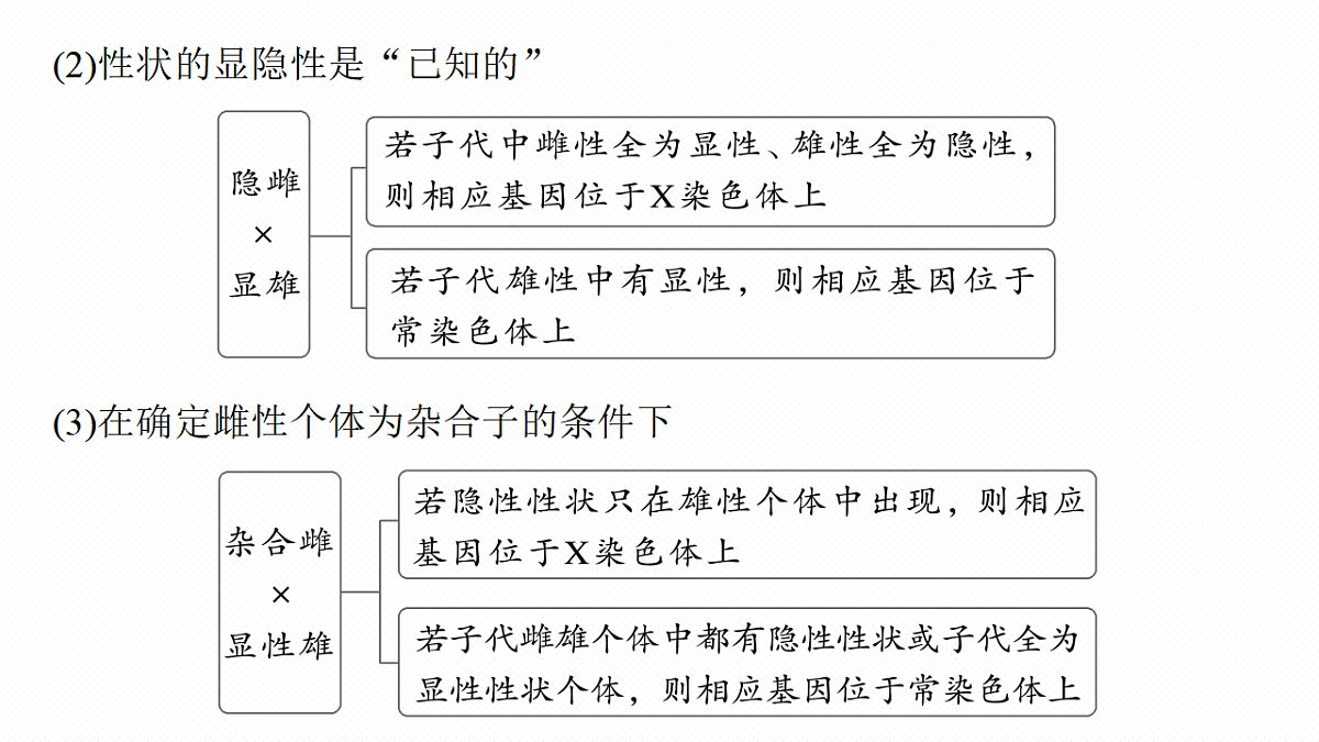 17268703第5页