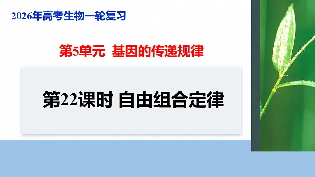 17268706第1页