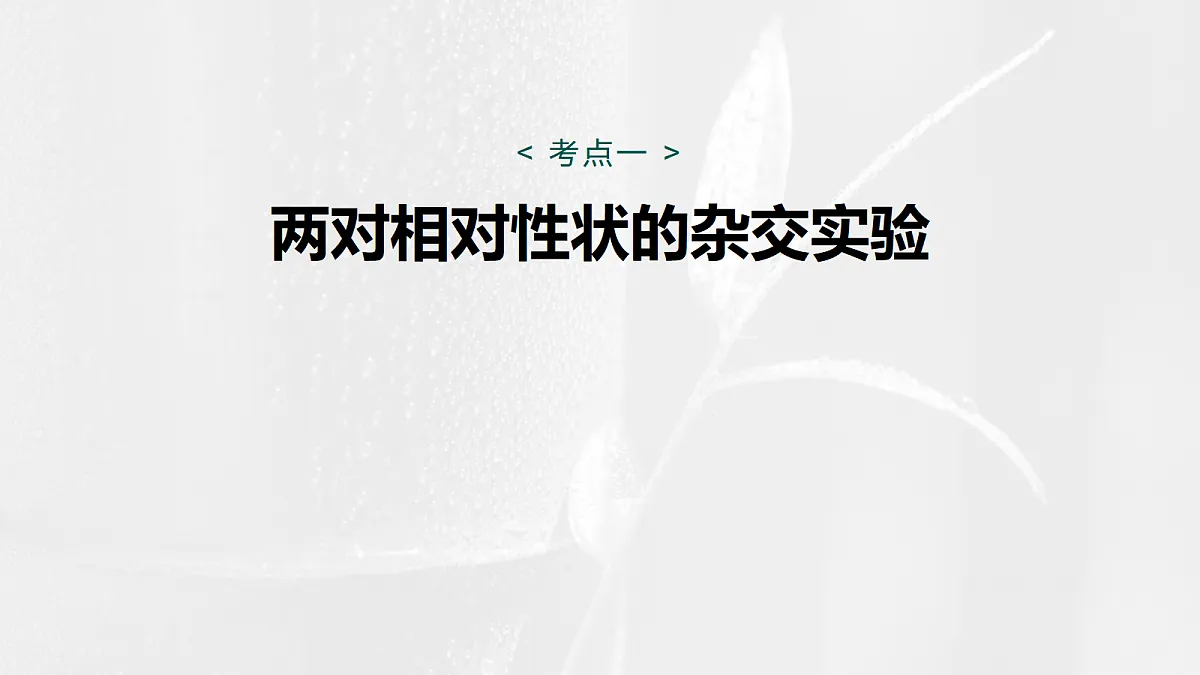17268706第5页