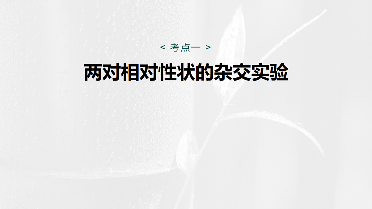 17268706第5页