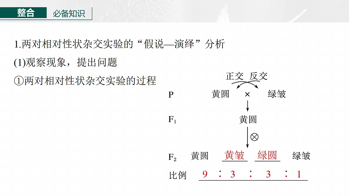 17268706第6页