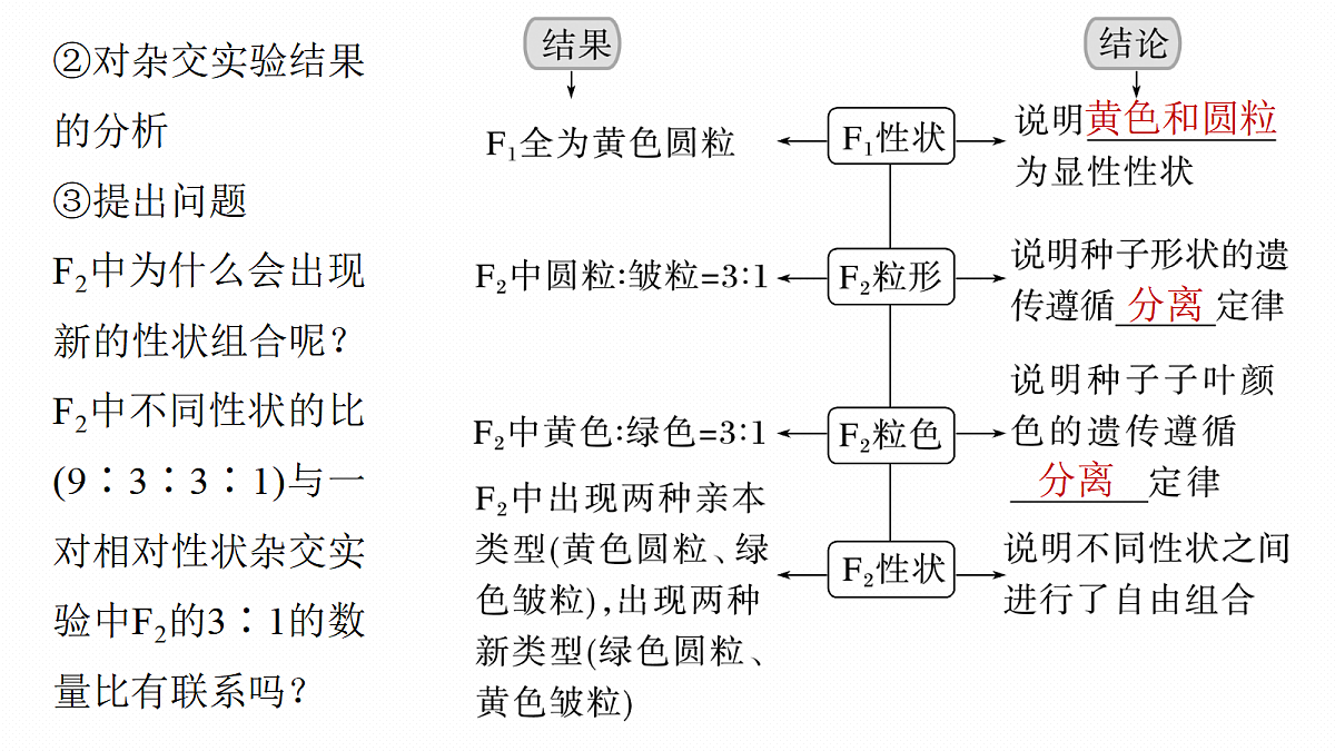 17268706第7页