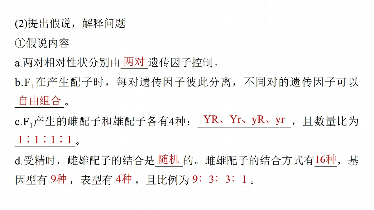 17268706第8页