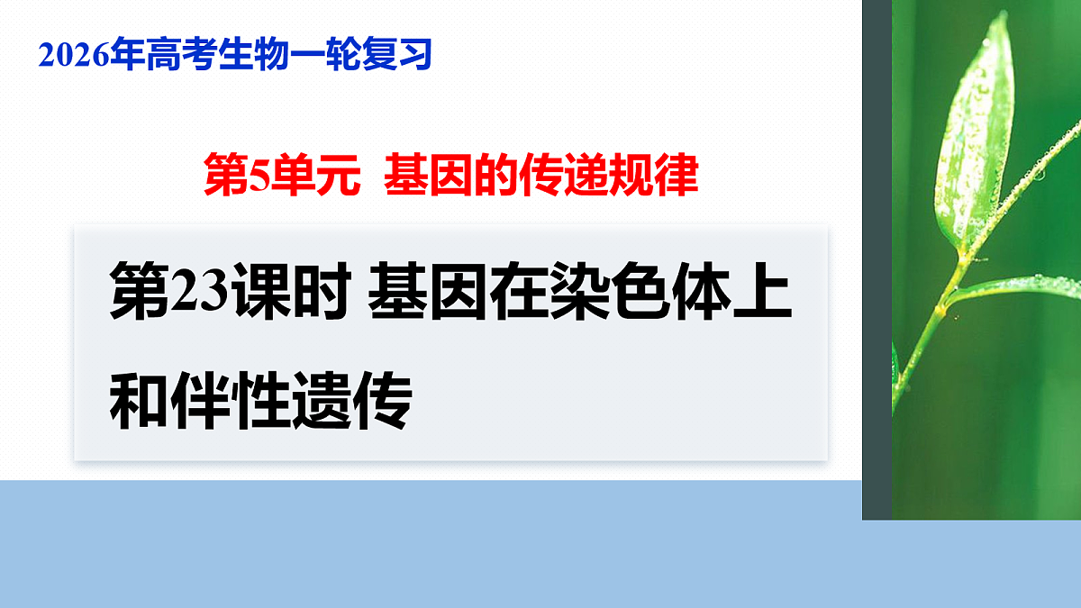 17268708第1页