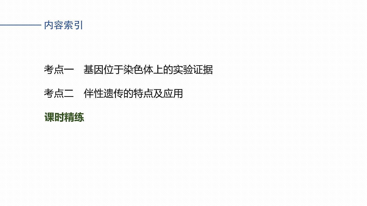 17268708第4页