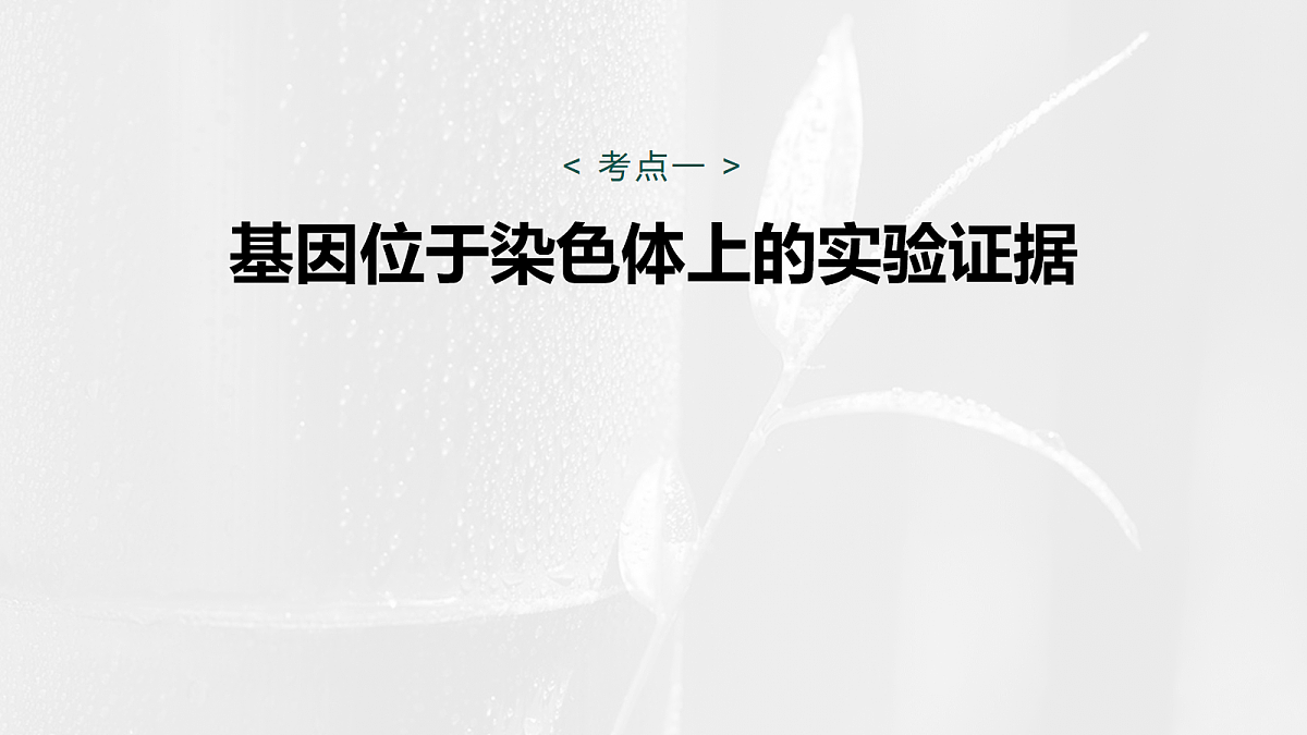 17268708第5页
