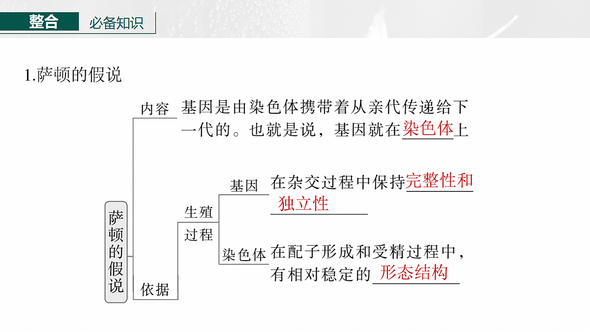 17268708第6页