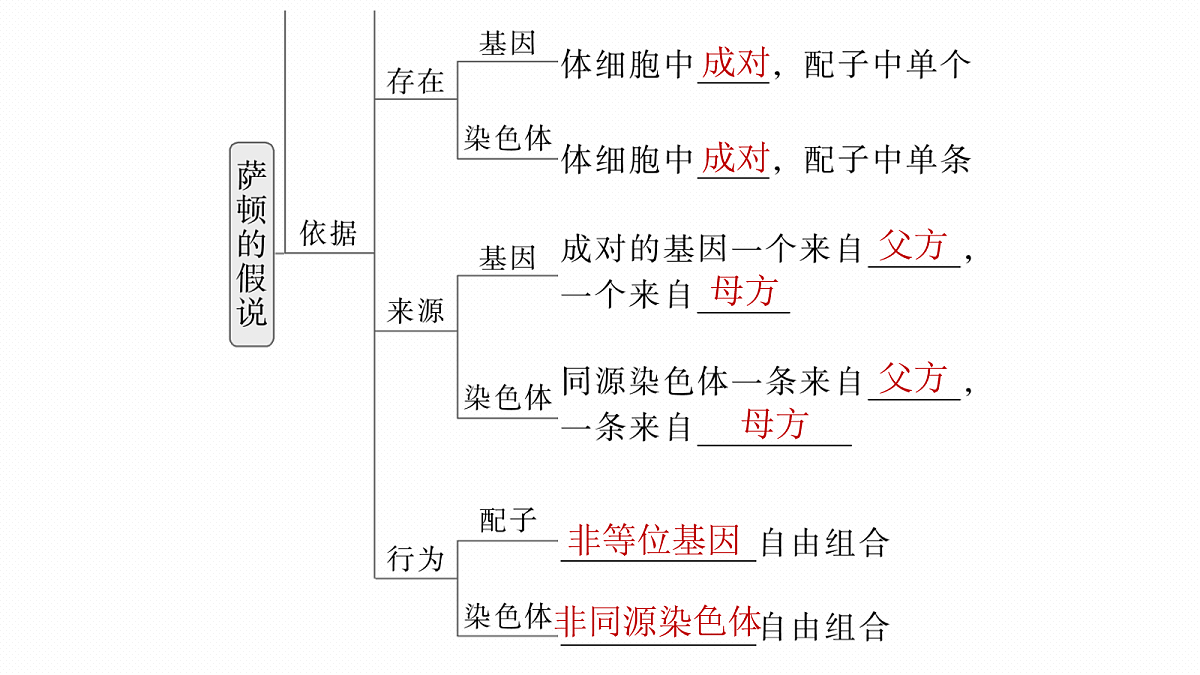 17268708第7页