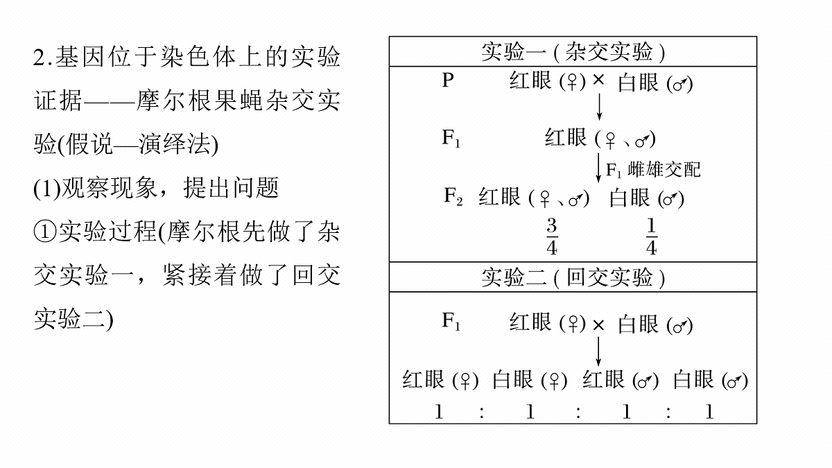 17268708第8页