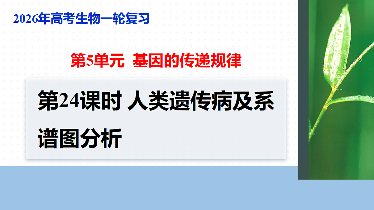 17268710第1页