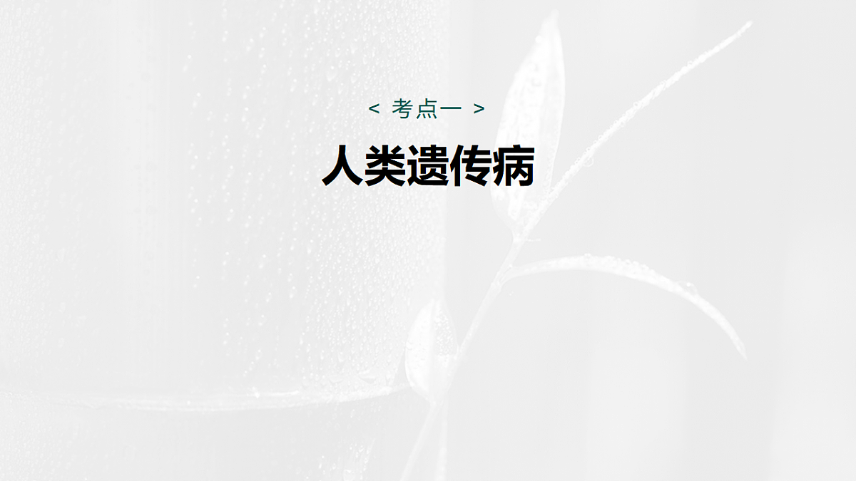 17268710第5页