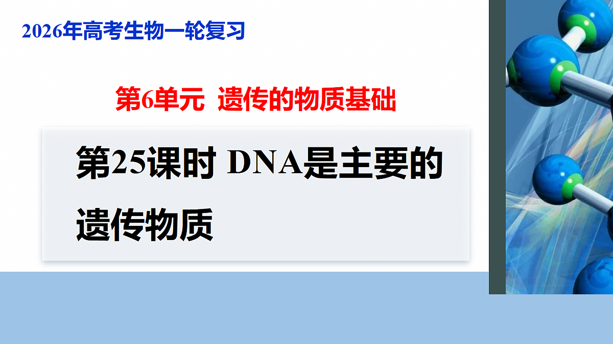 17268712第1页