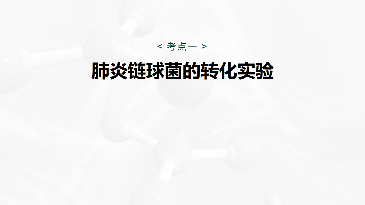 17268712第5页