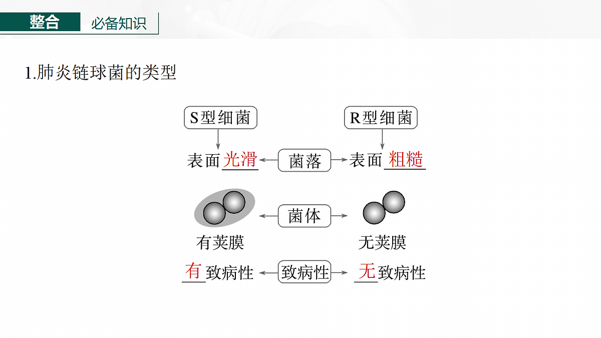 17268712第6页