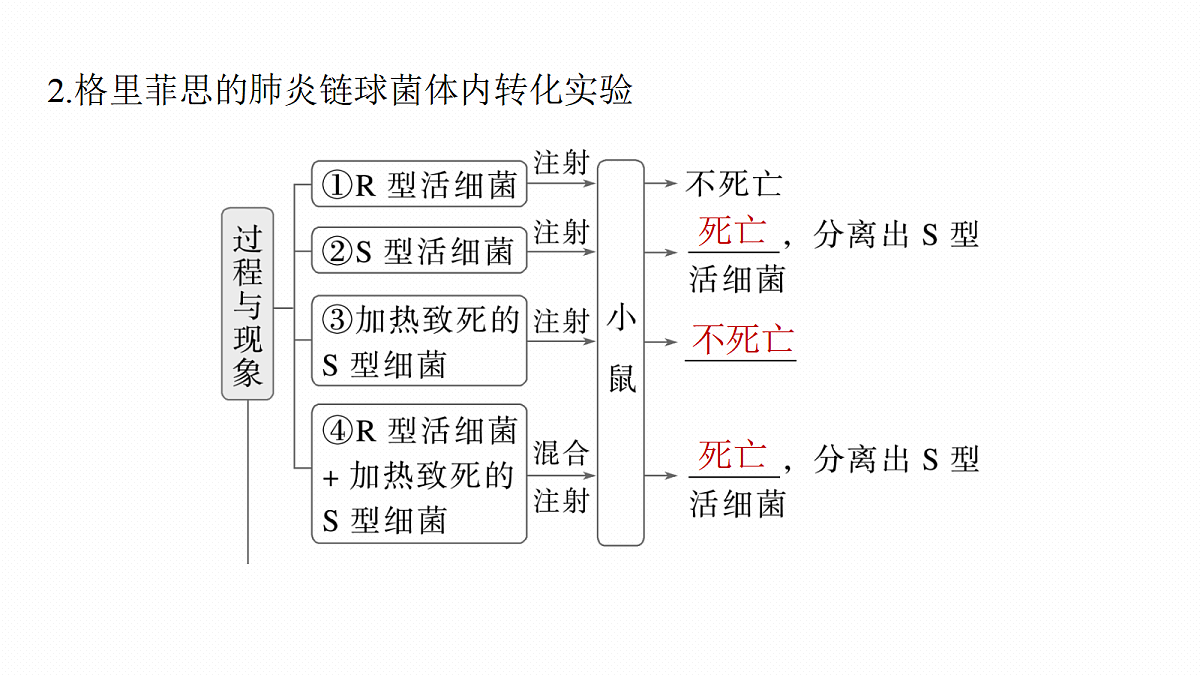 17268712第7页