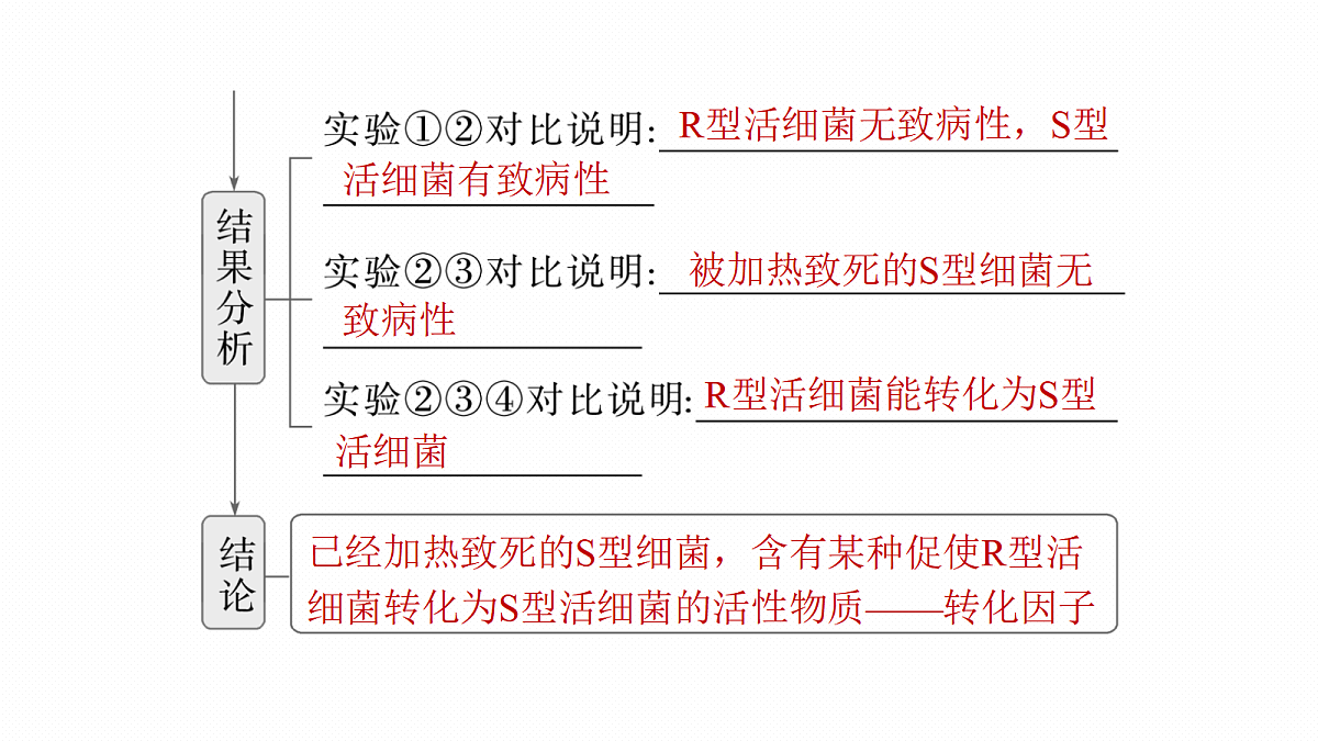 17268712第8页