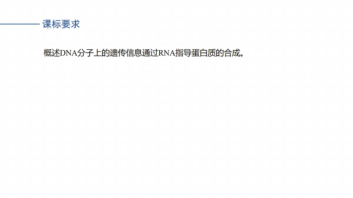 17268716第2页