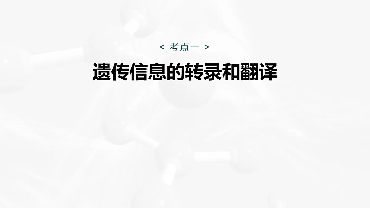 17268716第5页