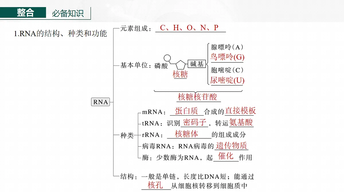 17268716第6页
