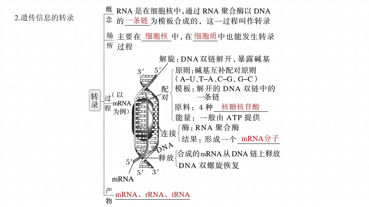 17268716第8页