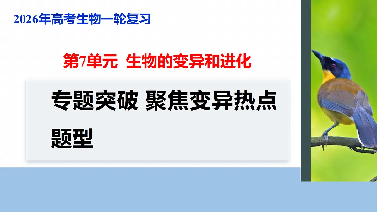 17268720第1页