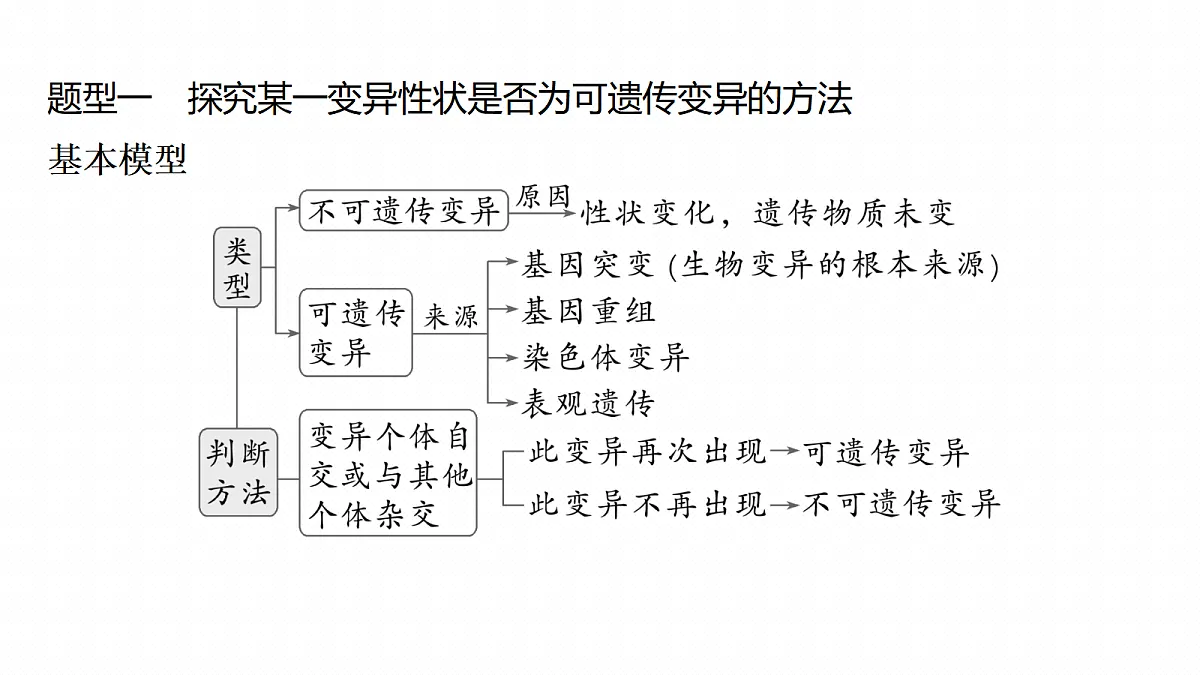 17268720第4页