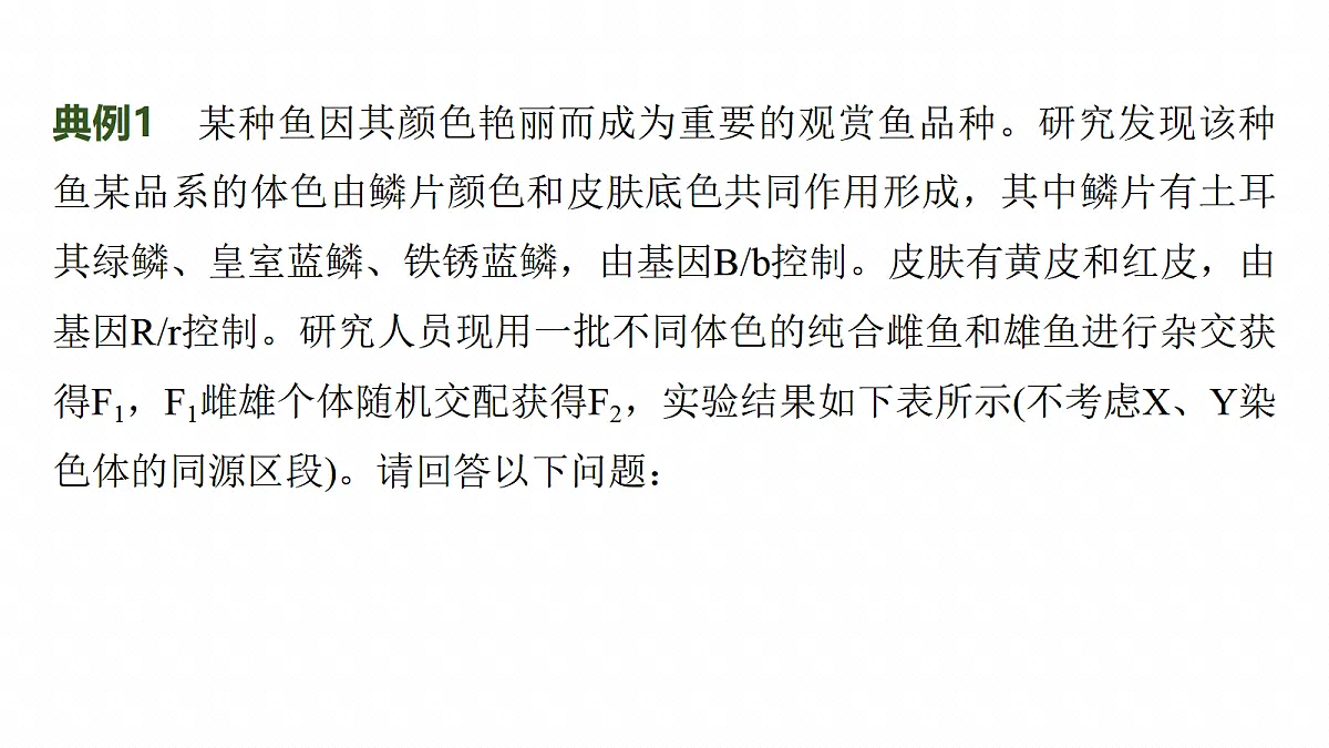 17268720第5页