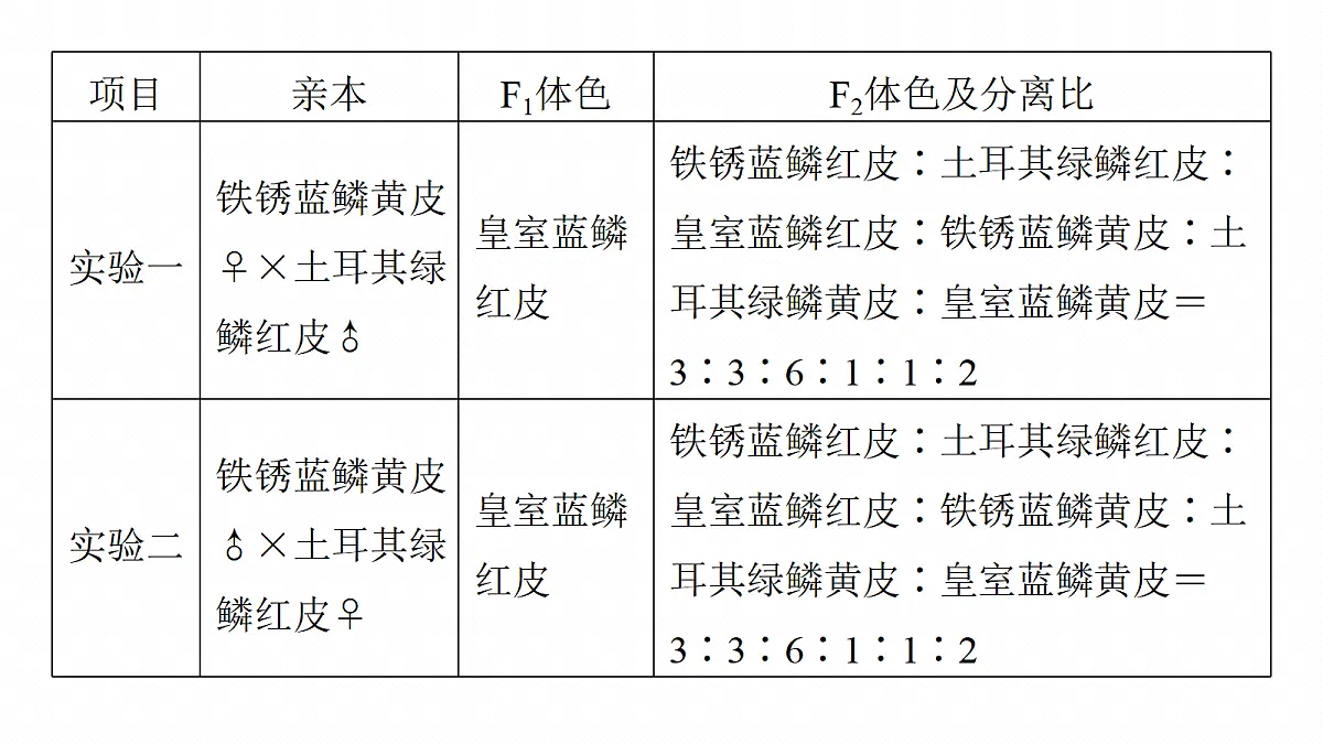 17268720第6页