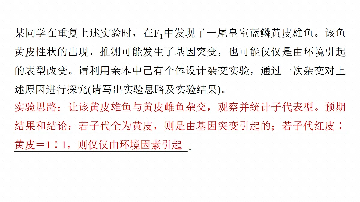 17268720第7页