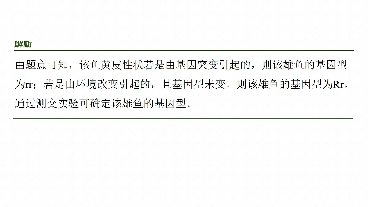 17268720第8页