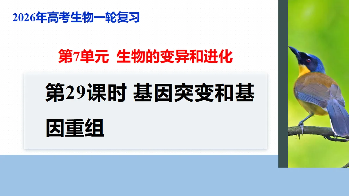 17268722第1页