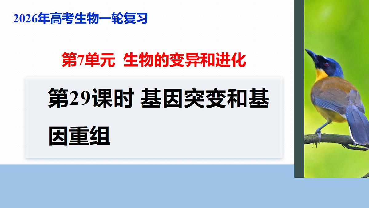 17268722第1页