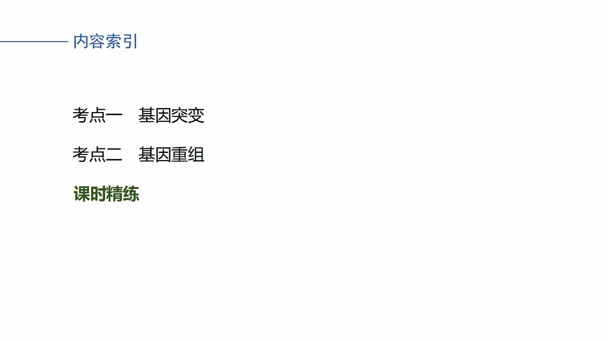 17268722第4页
