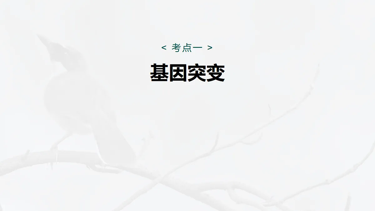17268722第5页