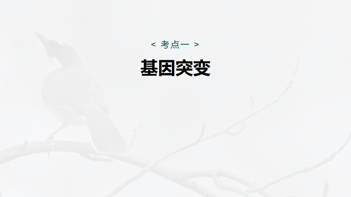 17268722第5页