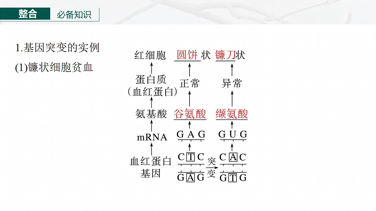 17268722第6页
